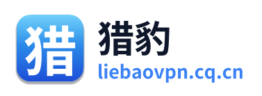 猎豹VPN